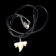 Shark tooth wire wrapped pendant necklace with adjustable strap in sunlight - Rocks and Things Store