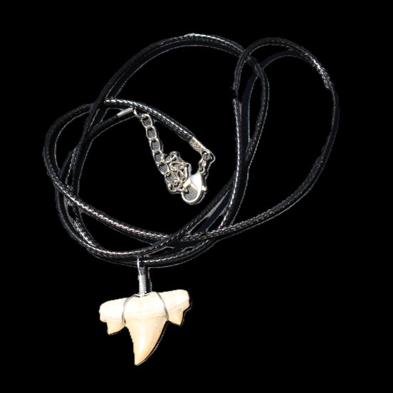 Shark tooth wire wrapped pendant necklace with adjustable strap in sunlight - Rocks and Things Store