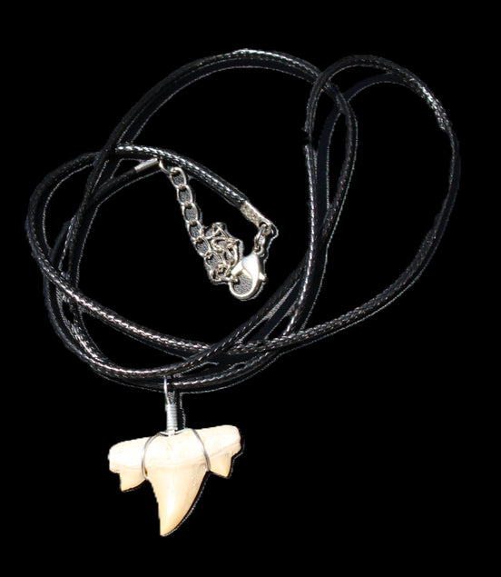 Shark tooth wire wrapped pendant necklace with adjustable strap in sunlight - Rocks and Things Store