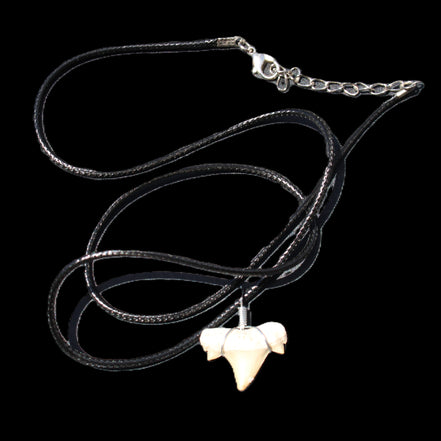 Shark tooth wire wrapped pendant necklace with adjustable strap in sunlight - Rocks and Things Store