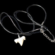 Shark tooth wire wrapped pendant necklace with adjustable strap in sunlight - Rocks and Things Store