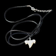 Shark tooth wire wrapped pendant necklace with adjustable strap in sunlight - Rocks and Things Store