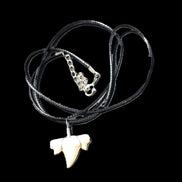 Shark tooth wire wrapped pendant necklace with adjustable strap in sunlight - Rocks and Things Store