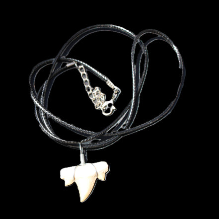 Shark tooth wire wrapped pendant necklace with adjustable strap in sunlight - Rocks and Things Store
