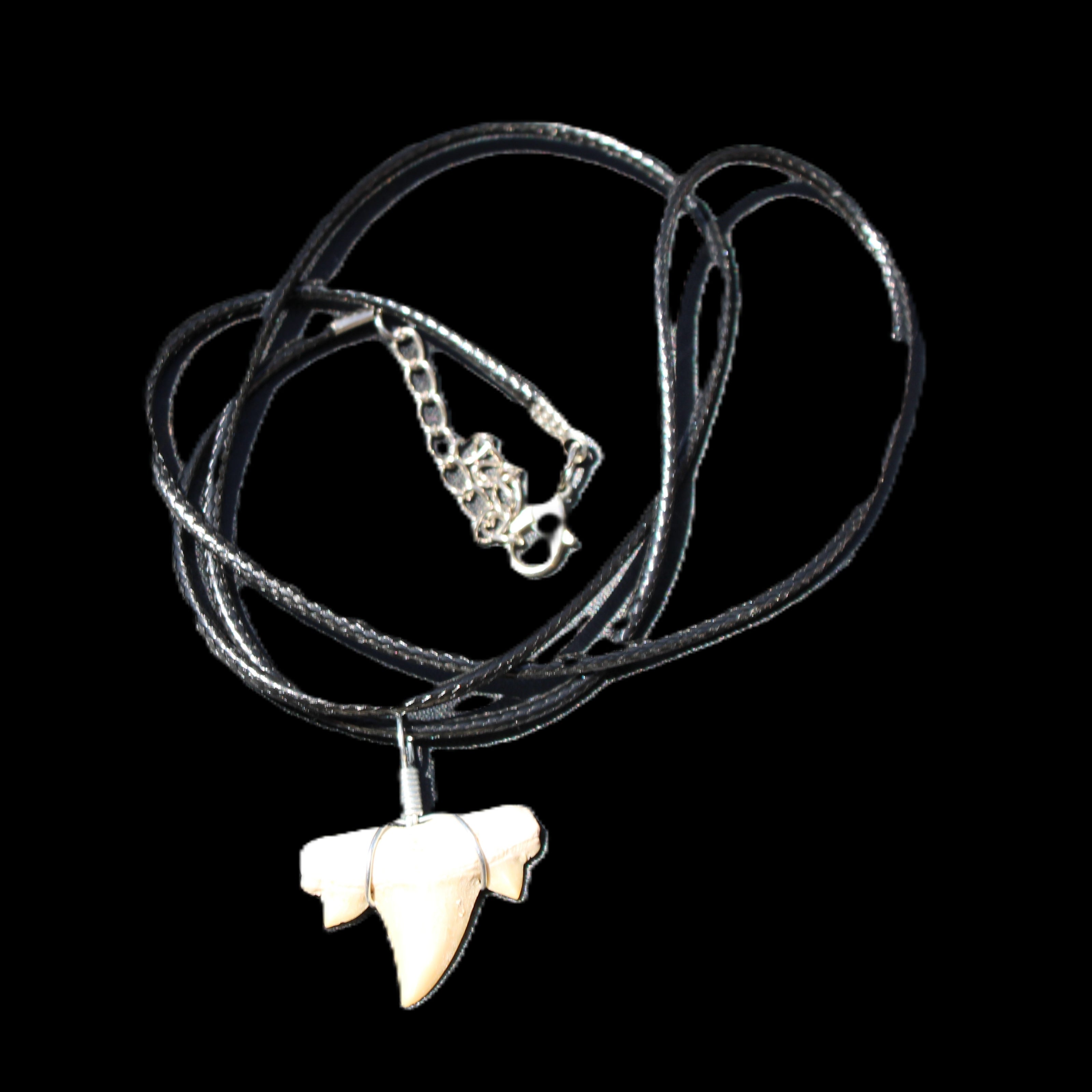 Shark tooth wire wrapped pendant necklace with adjustable strap in sunlight - Rocks and Things Store