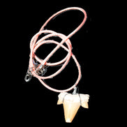 Shark tooth wire wrapped pendant necklace with adjustable strap in sunlight - Rocks and Things Store
