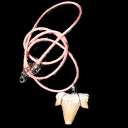 Shark tooth wire wrapped pendant necklace with adjustable strap in sunlight - Rocks and Things Store