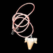 Shark tooth wire wrapped pendant necklace with adjustable strap in sunlight - Rocks and Things Store