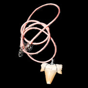 Shark tooth wire wrapped pendant necklace with adjustable strap in sunlight - Rocks and Things Store