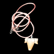 Shark tooth wire wrapped pendant necklace with adjustable strap in sunlight - Rocks and Things Store