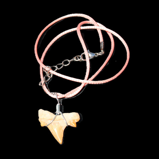 Shark tooth wire wrapped pendant necklace with adjustable strap in sunlight - Rocks and Things Store