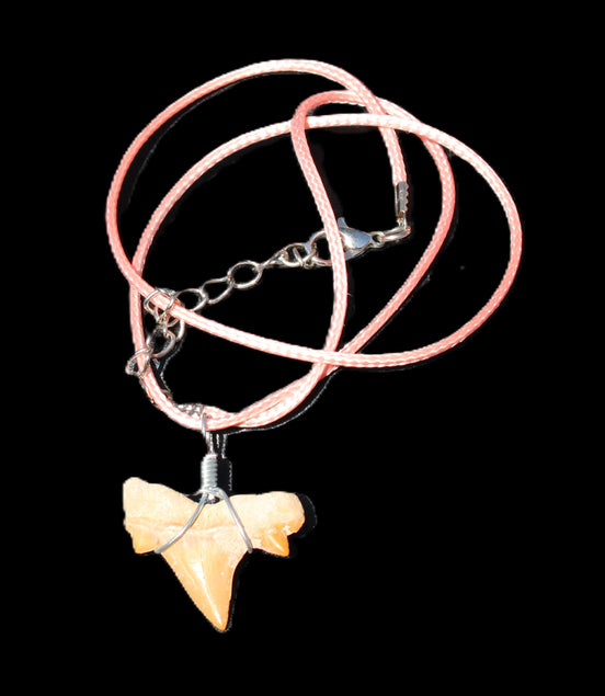 Shark tooth wire wrapped pendant necklace with adjustable strap in sunlight - Rocks and Things Store