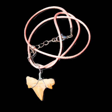 Shark tooth wire wrapped pendant necklace with adjustable strap in sunlight - Rocks and Things Store