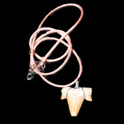Shark tooth wire wrapped pendant necklace with adjustable strap in sunlight - Rocks and Things Store