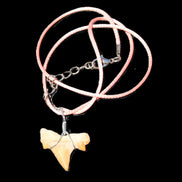 Shark tooth wire wrapped pendant necklace with adjustable strap in sunlight - Rocks and Things Store