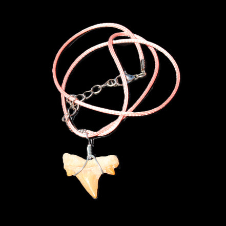 Shark tooth wire wrapped pendant necklace with adjustable strap in sunlight - Rocks and Things Store