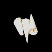 Gastropod Maoricolpus murrayna three Miocene fossils from Morgan South Australia 24-31mm 3-4g in sunlight - Rocks and Things Store