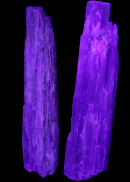 Natural Blue Kyanite blade crystals 20-24g in UV light - Rocks and Things Store