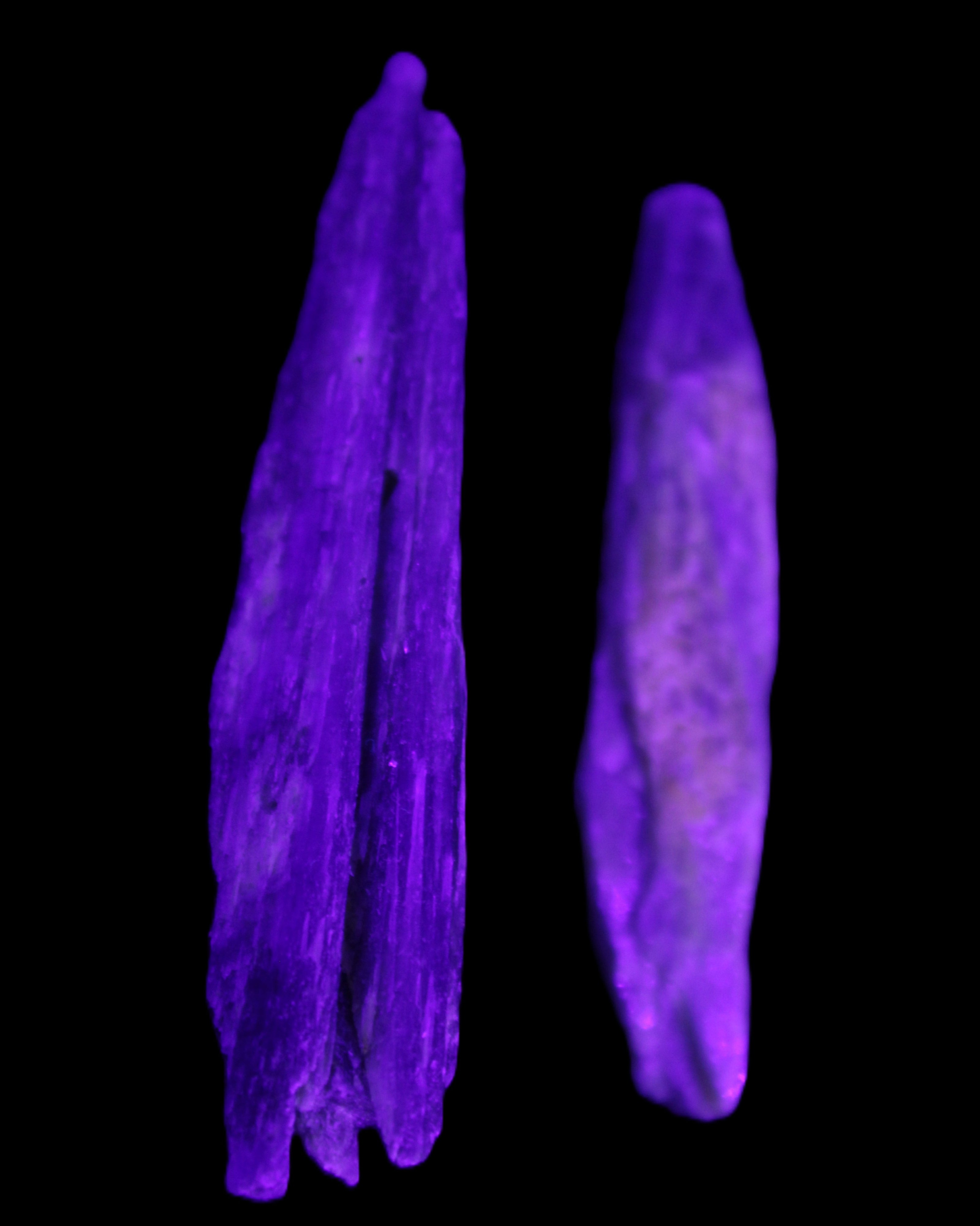 Natural Blue Kyanite blade crystals 20-24g in UV light - Rocks and Things Store