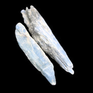Natural Blue Kyanite blade crystals 20-24g in sunlight - Rocks and Things Store