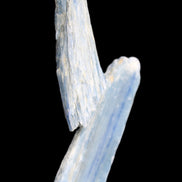 Natural Blue Kyanite two blade crystals 29-31g in sunlight - Rocks and Things Store