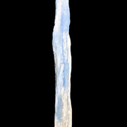 Natural Blue Kyanite long blade crystal 13-19g in sunlight - Rocks and Things Store