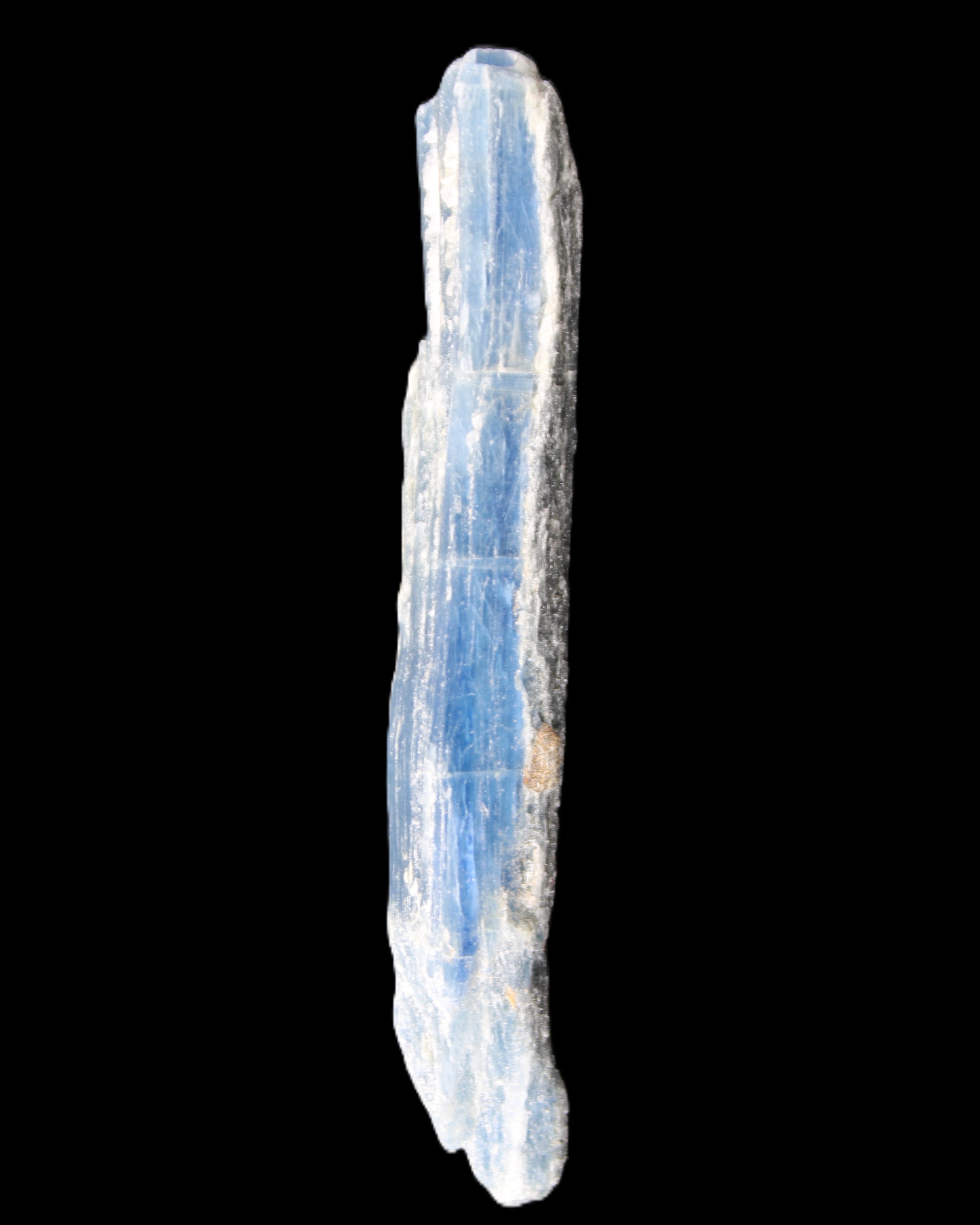 Natural Blue Kyanite long blade crystal 13-19g in sunlight - Rocks and Things Store