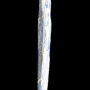 Natural Blue Kyanite long blade crystal 13-19g in sunlight - Rocks and Things Store