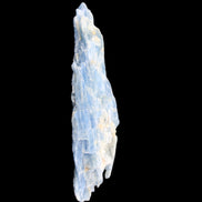 Natural Blue Kyanite long blade crystal 13-19g in sunlight - Rocks and Things Store