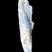 Natural Blue Kyanite long blade crystal 13-19g in sunlight - Rocks and Things Store