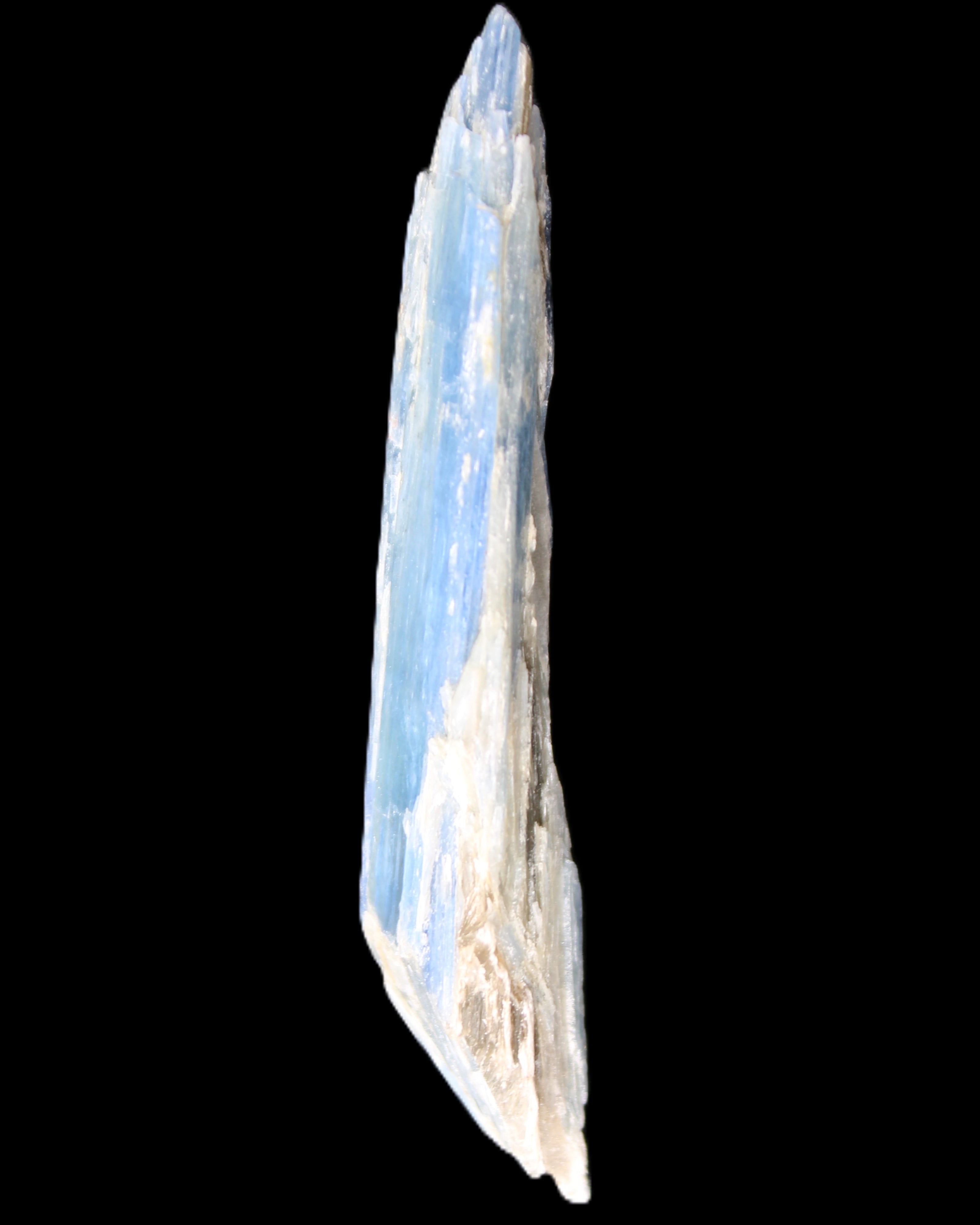 Natural Blue Kyanite long blade crystal 13-19g in sunlight - Rocks and Things Store