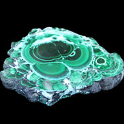 Silicified Malachite Chrysocolla slice 125*104*16mm 470g in sunlight - Rocks and Things Store