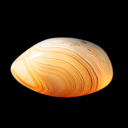 Crazy Lace Agate 42*32*23mm 38g in sunlight - Rocks and Things Store