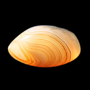 Crazy Lace Agate 42*32*23mm 38g in sunlight - Rocks and Things Store