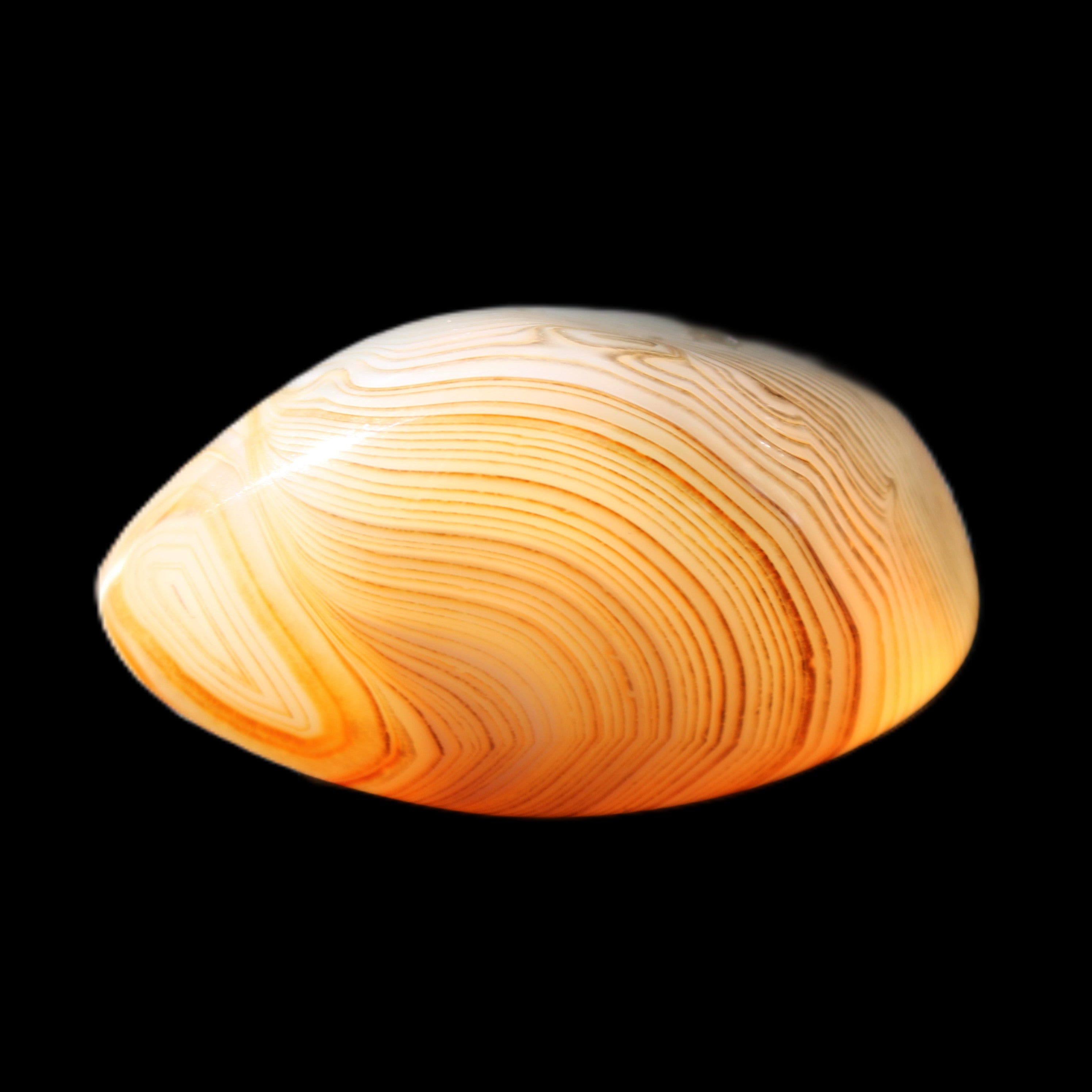 Crazy Lace Agate 42*32*23mm 38g in sunlight - Rocks and Things Store