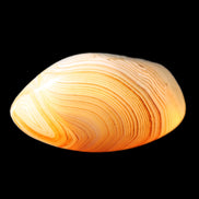 Crazy Lace Agate 42*32*23mm 38g in sunlight - Rocks and Things Store