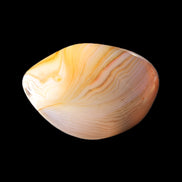 Crazy Lace Agate 42*32*23mm 38g in sunlight - Rocks and Things Store