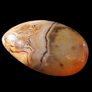 Crazy Lace Agate 55*33*19mm 47g in sunlight - Rocks and Things Store