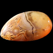 Crazy Lace Agate 55*33*19mm 47g in sunlight - Rocks and Things Store