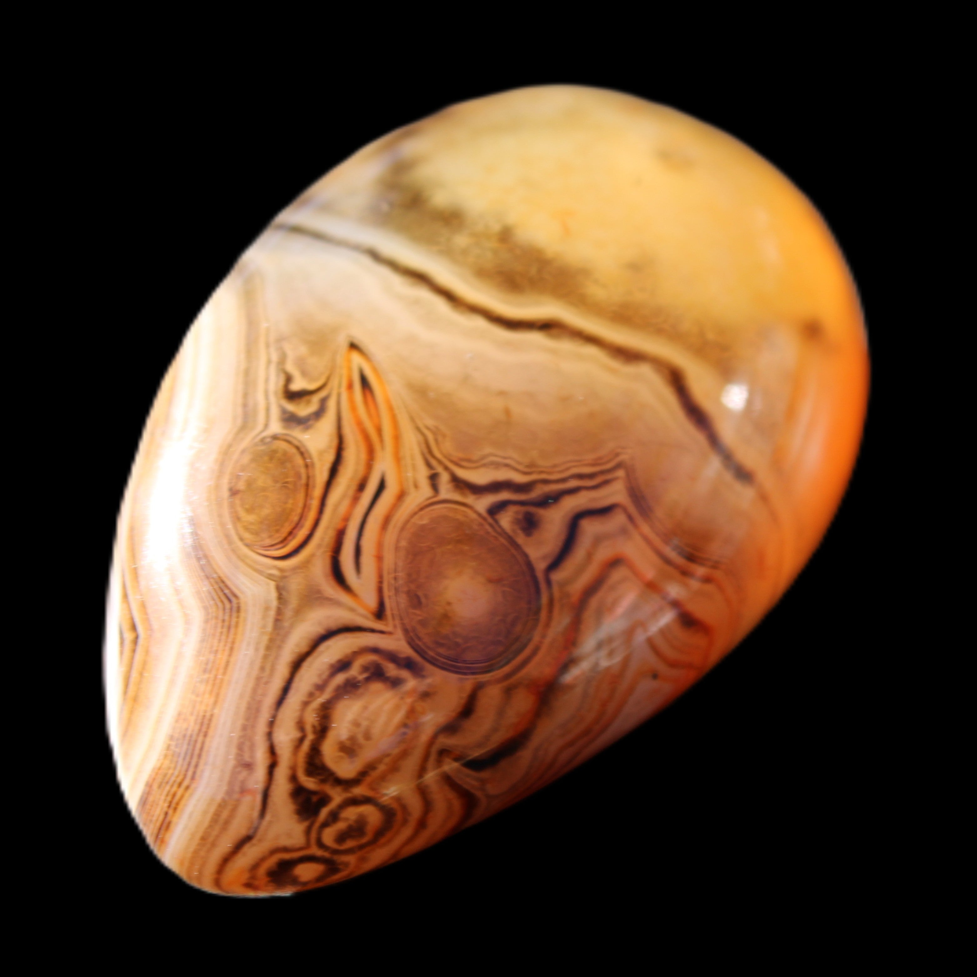 Crazy Lace Agate 55*33*19mm 47g in sunlight - Rocks and Things Store