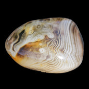 Crazy Lace Agate 41*32*210mm 37g in sunlight - Rocks and Things Store