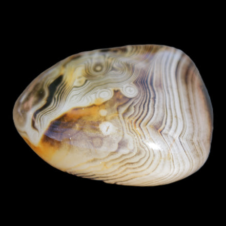 Crazy Lace Agate 41*32*210mm 37g in sunlight - Rocks and Things Store