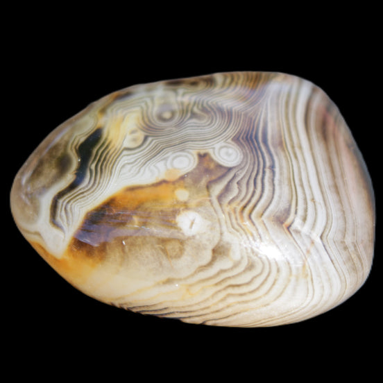 Crazy Lace Agate 41*32*210mm 37g in sunlight - Rocks and Things Store