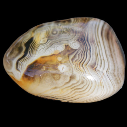 Crazy Lace Agate 41*32*210mm 37g in sunlight - Rocks and Things Store