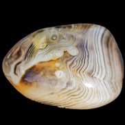 Crazy Lace Agate 41*32*210mm 37g in sunlight - Rocks and Things Store