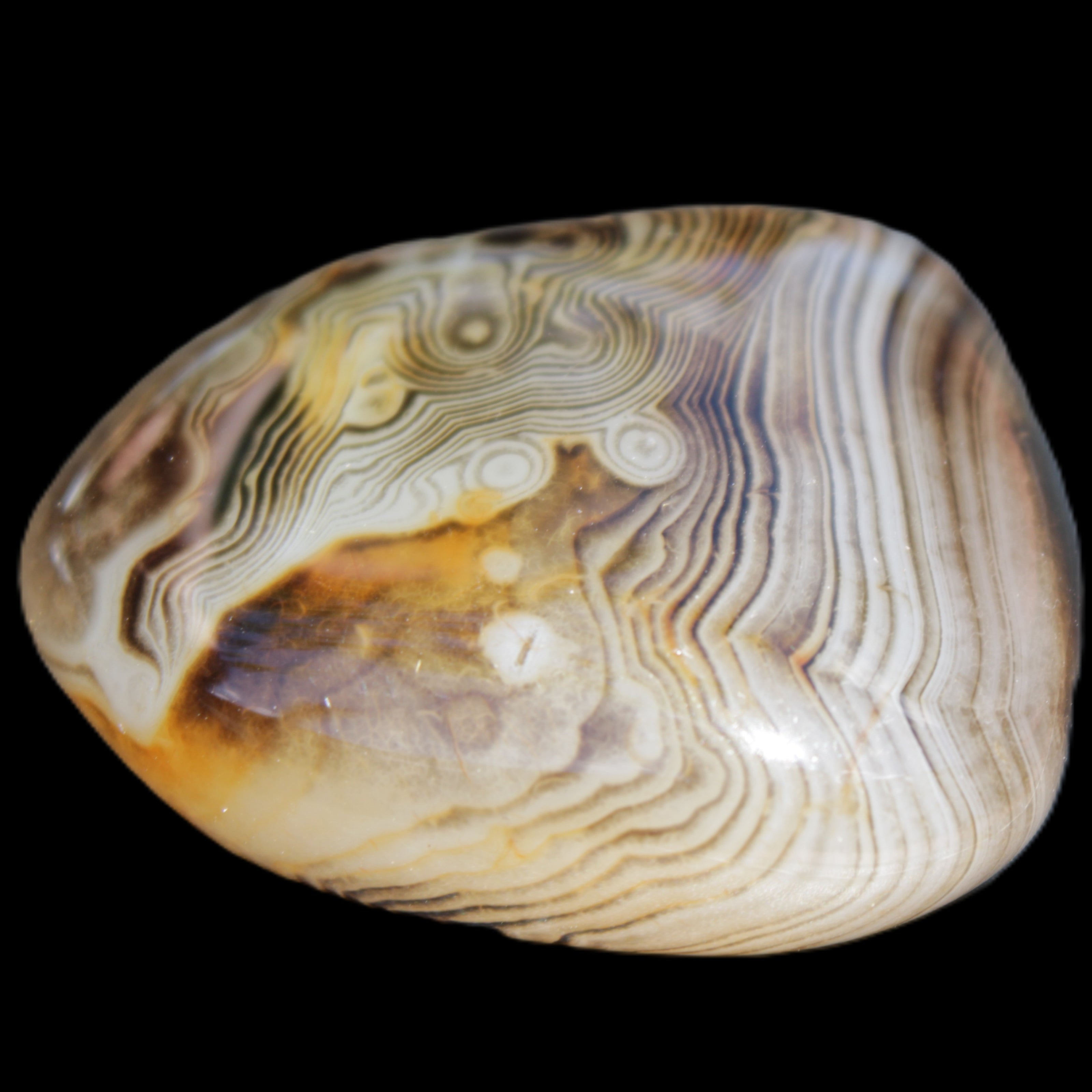 Crazy Lace Agate 41*32*210mm 37g in sunlight - Rocks and Things Store