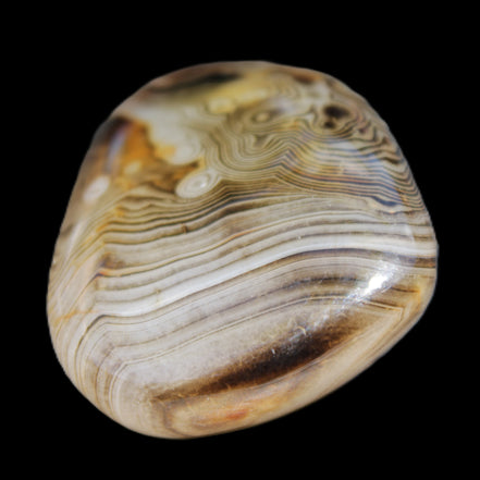 Crazy Lace Agate 41*32*210mm 37g in sunlight - Rocks and Things Store