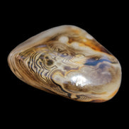 Crazy Lace Agate 41*32*210mm 37g in sunlight - Rocks and Things Store