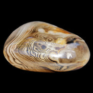 Crazy Lace Agate 41*32*210mm 37g in sunlight - Rocks and Things Store