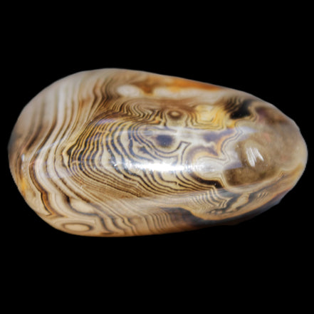 Crazy Lace Agate 41*32*210mm 37g in sunlight - Rocks and Things Store